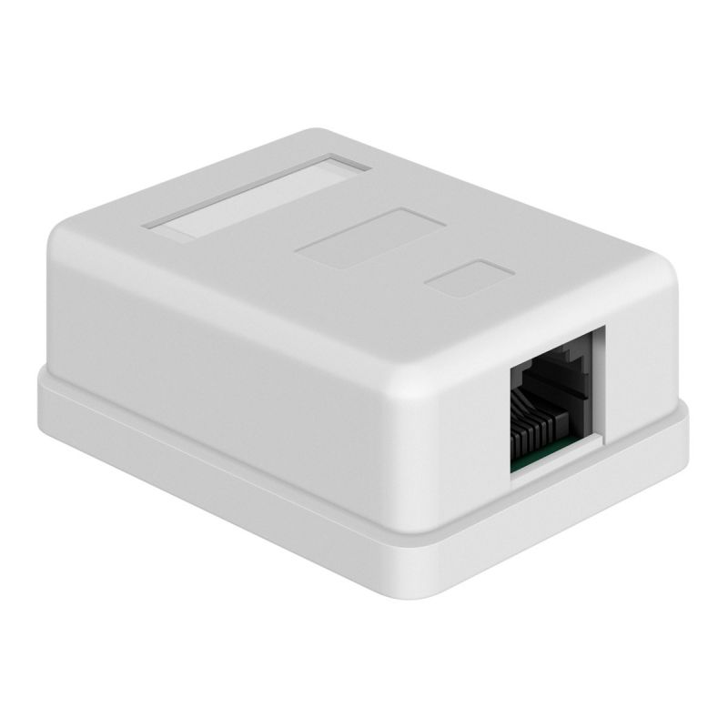 Tomas Rj Toma sencilla RJ45 CAT 6 - Conexión A/B, adhesivo y cin